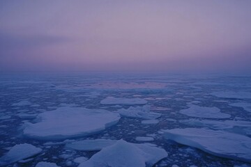 Arctic Ice Floes at Twilight: A Serene Winter Landscape