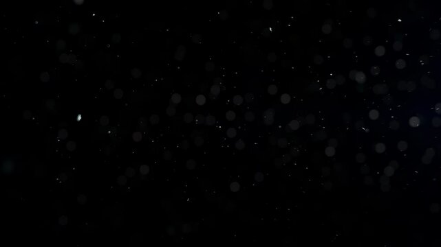 4K Real floating dust particles in dark atmosphere, slow motion background, abstract overlay, fine particle texture, digital design resource, glowing air particles, cinematic visual effect