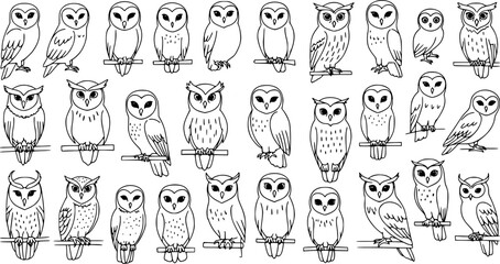 Owl vector outline set, hand drawn owl line art, minimal owls isolated design for tattoo, clipart, sketch, cartoon, artistic set, digital collection of aesthetic bird, wildlife nocturnal bird icon