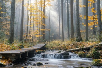 Fototapeta premium Misty Autumn Forest Trail: A Serene Wooden Bridge Over a Cascading Stream