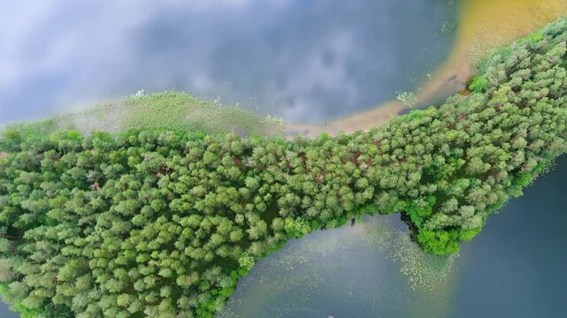 Scenic aerial rotating view of Sciuro Ragas peninsula, separating White Lakajai and Black Lakajai lakes. Picturesque landscape of Labanoras Regional Park. Natural beauty of Lithuania.