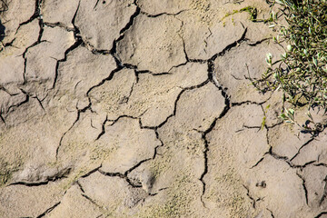 Dried Cracked Mud at the Salt Marshes in Leigh-on-Sea, Essex