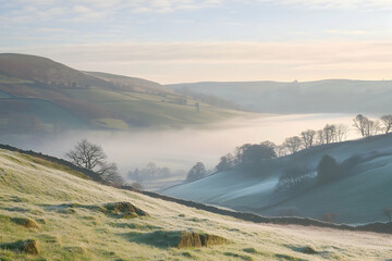 Fototapeta premium Dreamlike misty landscape of rolling hills bathed in soft morning light