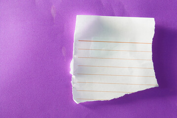 pieces of torn paper texture background, copy space