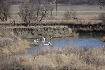Saskatchewan Scenery Qu'Appelle Valley area