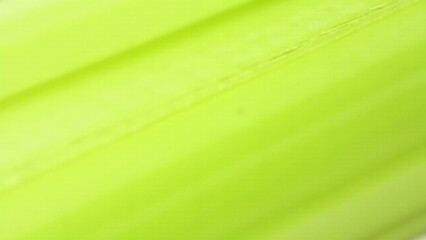 Obraz premium A close-up of celery's fibrous, stringy texture with pale green stalks. Lighting emphasizes its intricate and moist surface.