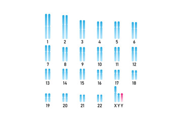 XYY Syndrome Science Design. Vector Illustration.