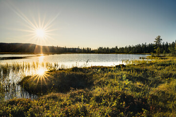 A golden sunset casts sunstar reflection on a calm lake, with vibrant greenery along the shore in Sweden. The peaceful atmosphere invites contemplation and connection with nature