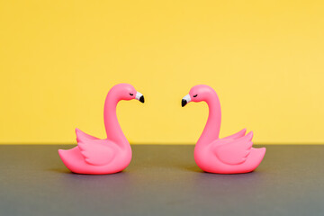 two pink swans