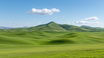 Fototapeta premium Rolling green hills stretch under a bright blue sky with a single white cloud during a sunny day.
