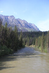 Fototapeta premium Jasper Alberta Mountains and Scenery