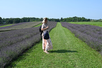 beautiful young woman in lavender field