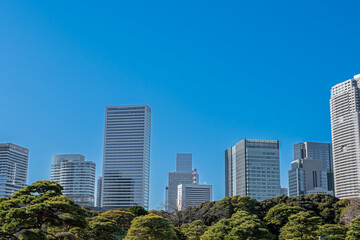 Fototapeta premium 東京 浜離宮恩賜庭園