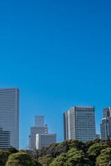 Fototapeta premium 東京 浜離宮恩賜庭園