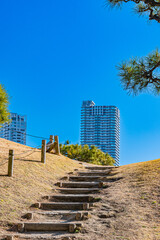 東京　浜離宮恩賜庭園の風景