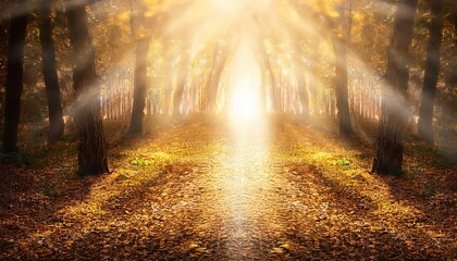 Obraz premium 静寂の中に続く光の道が、歩むたびに新たな可能性を照らし出すスピリチュアルな風景。 