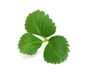 Fresh red ripe strawberry isolated on white, macro image