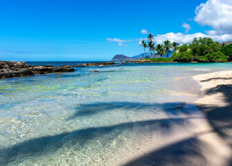 Ko Olina Turtle Beach on the tropical island paradise of Oahu, Hawaii