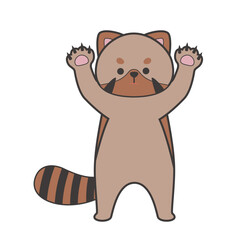 レッサーパンダ