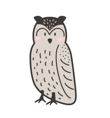 owl