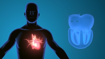 heart chambers in human body. 3d render