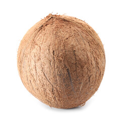 One whole coconut in shell isolated on white