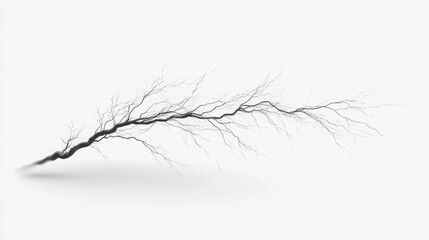 Abstract image of a dark, sprawling branch against a bright white background. The intricate details of the branch's texture and form create a striking contrast.