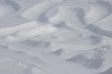 Tire tracks in the snow
