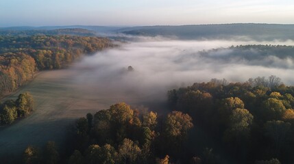 Misty Autumn Morning: Aerial View of Foggy Forest and Field