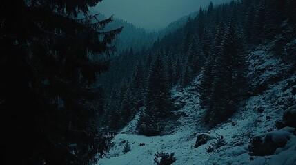 Snow-covered forest landscape with dark pine trees, misty mountains in the background