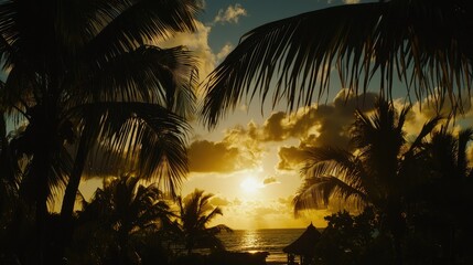 Sunset over a tropical beach framed by palm trees with clouds reflecting golden hues