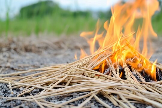 A pile of dry rice straw is burning with bright orange flames, creating smoke and ash in the field.