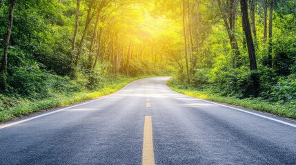 Fototapeta premium A smooth asphalt road cutting through a dense forest, with sunlight filtering through the trees.