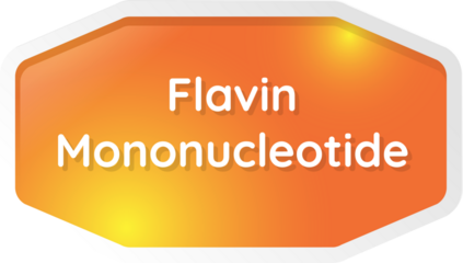 flavin mononucleotide