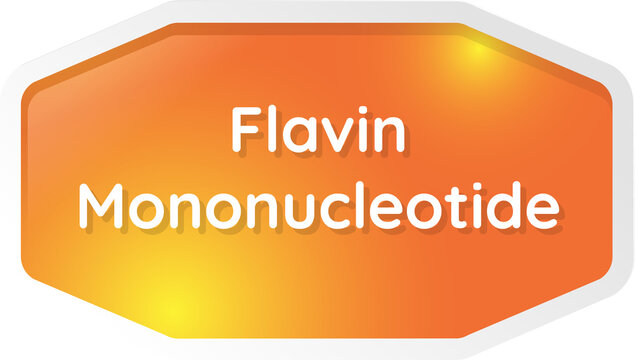flavin mononucleotide