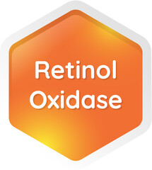 retinol oxidase