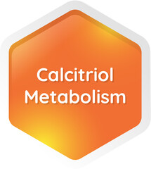 calcitriol metabolism