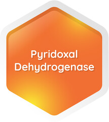 pyridoxal dehydrogenase