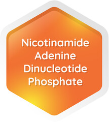 nicotinamide adenine dinucleotide phosphate