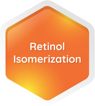 retinol isomerization