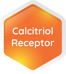 calcitriol receptor