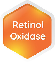 retinol oxidase