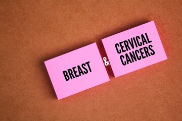 Pink paper with the words breast and cervical cancer. Two of the most common cancers affecting women