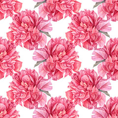 Watercolor seamless pattern with bouquet pink peony summer flower on white background. Hand-drawn floral plant with green leaves. Florist or wedding invite celebration card. Wallpaper or wrapping