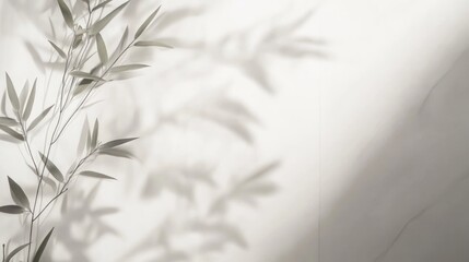 Bamboo shadows on wall, sunlight, minimal design
