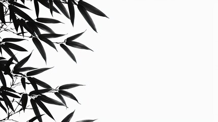 Elegant bamboo leaves silhouetted against a minimalist white background, symbolizing tranquility