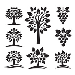Fruit tree & grape icons set.