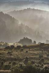 Fototapeta premium Misty mountain landscape: Trees and rocks shrouded in morning fog serene nature scenery