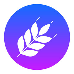 Fototapeta premium Barley Icon