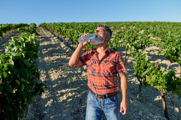 Winemaker drinking water in vineyard during hot summer day